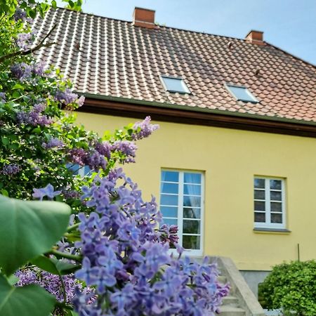Apartament Gutshaus Neu Necheln Bruel Zewnętrze zdjęcie